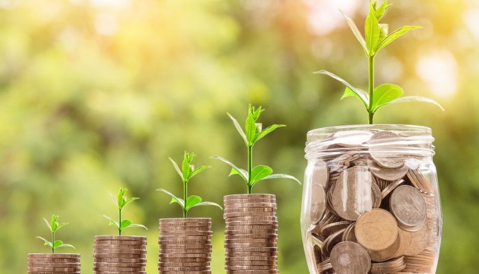 Can Tier 1 Investors invest in Start-ups?