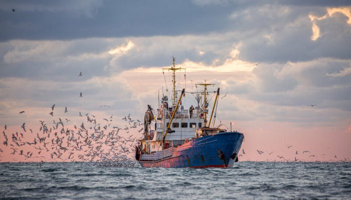 Fishing Jobs to Be Added to the UK Shortage Occupation List