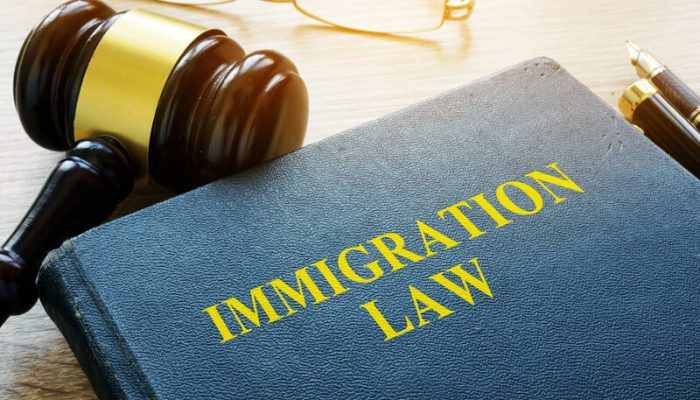 The Process of Making Changes to the Immigration Rules